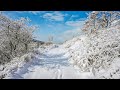 Blizzard Walk in Sheep Ranch Hill and Fantastic Scenery | Snowstorm Sounds 4K HDR