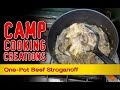 Camp Cooking Creations - One-Pot Beef Stroganoff