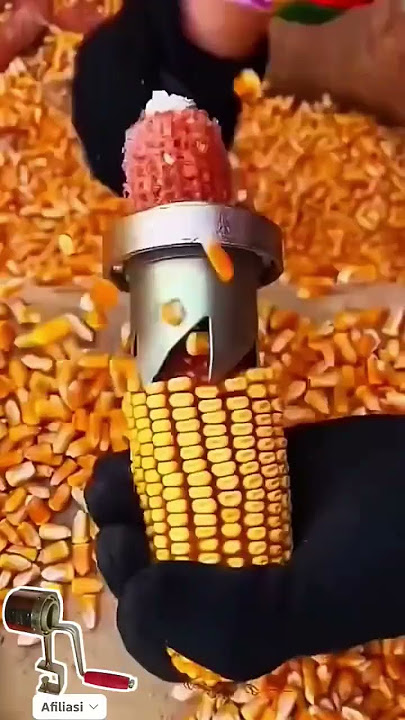 Ide cerdas sederhana alat perontok jagung yang dapat merontokkan jagung dengan cepat #shorts