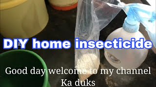 Homemade INSECTICIDE for ants | DIY home insecticide