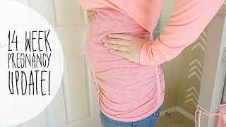 14 WEEKS + Seeing a Geneticist! | Pregnancy Update