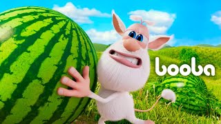 Booba - WATERMELON CHASE 🍉 🔴 Kedoo Toons TV - Funny Animations for Kids