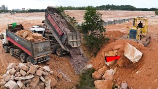 Ep132| Fantastic Activities Of Komatsu Dozers And Dump Trucks Process Filling Up Large Project,,