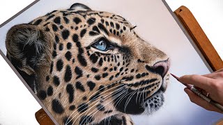 Leopard Speed Drawing | Realistic Pastel Art Tutorial screenshot 2