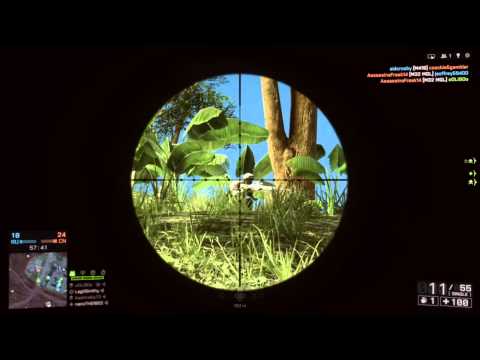 BF4 minitage