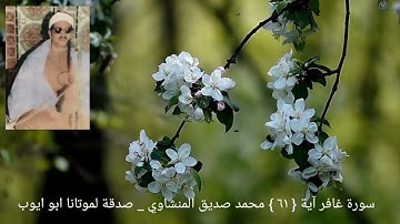 الله الذي جعل لكم اليل لتسكنوا فيه والنهار مبصرا _ سورة غافر آية { ٦١ } المنشاوي