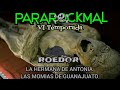 ParaRockmal - Roedor - La Hermana De Antonia