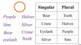 Classify Words into Basic categories |categories classification activity #classification #trickygame