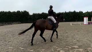 Sheza Lusive Flatwork Video