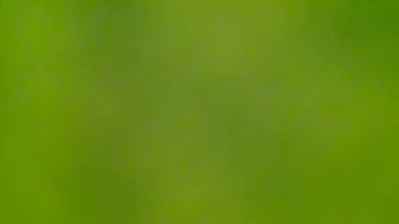 5 components of reading