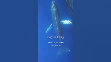 صالح الانصاري وذا النون اذ ذهب مغاضبا سورة الأنبياء