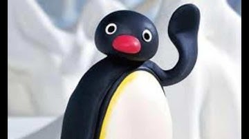 the noot noot...