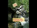 Masteran Elang Untuk Murai Batu News Mp3 - Mp4 Download
