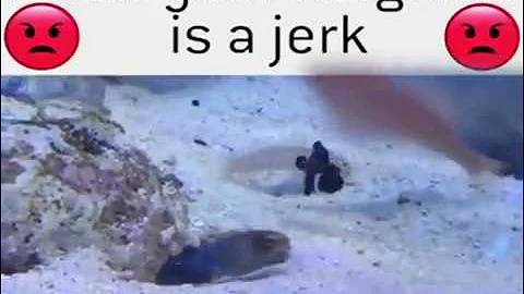 Disrespectful Neighbor