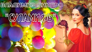 Владимир Днипро - "Суламифь"