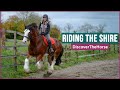 Riding the Shire Horse in England!