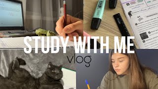 STUDY WITH ME vlog 🍂|| учись со мной| попытки сдать все дедлайны|учебные будни🖇️