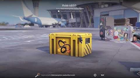 DAY 148 OPENING CS2 CASES UNTIL I GET GOLD!