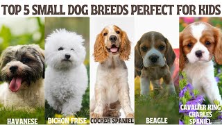 Top 5 Small Dog Breeds Perfect for Kids by FurryFriends 51 views 1 month ago 9 minutes, 45 seconds