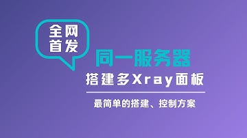 【全网首发】同一台服务器通过docker搭建多xray|x-ui|3x-ui面板实现科学上网，可以针对不同的网站进行分流，搭建v2ray教程|可视化xray面板#一瓶奶油