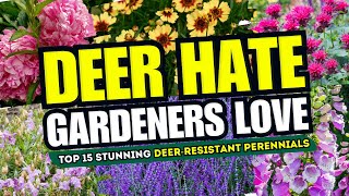 🦌🚫 DEER HATE, GARDENERS LOVE! Top 15 Stunning Deer-Resistant Perennials! 🌸💥