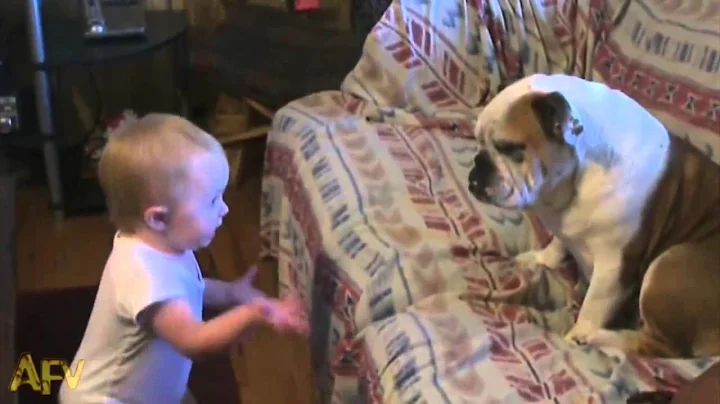 Baby Makes a Valid Argument - AFV