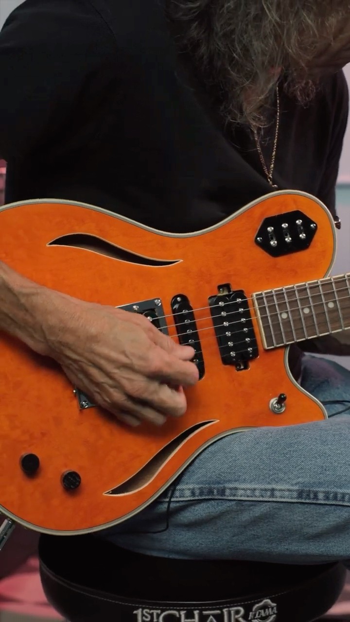 ギター Michael Kelly Guitars Custom Collection Michael Kelly Guitar Co.