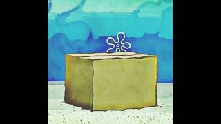 The Spongetaker Sometimes, Things Still Seem F.u.n.