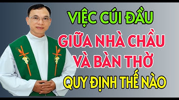 CÚI ĐẦU NƠI NÀO TRƯỚC BÀN THỜ VÀ NHÀ CHẦU THÁNH THỂ | CHA THỦ GIẢNG VÀ GIẢI ĐÁP THẮC MẮC PHỤNG VỤ