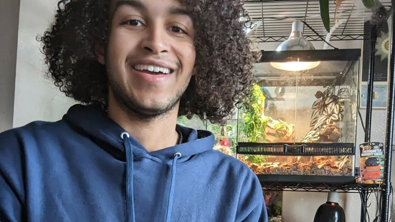 reptile room tour - YouTube