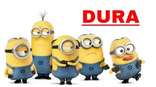 Dura - Daddy Yankee new song 2018 | 'Dancing Minions' HD