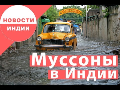 Видео: Лучшие места для путешествий в Индии во время сезона муссонов