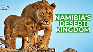 Namibia  Animal Kingdom in the Desert | Free Documentary Nature