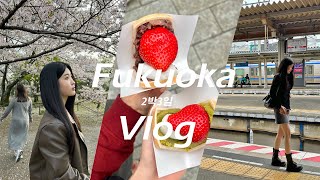 후쿠오카 2박3일 브이로그🇯🇵 Fukuoka Vlog | 하카타 | 텐진 | 캐널시티 | 파르코 백화점 | 오호리공원 | 벚꽃축제 | 맛집 | 디저트🍰