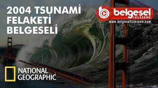 2004 Tsunami Felaketi Belgeseli - Türkçe Dublaj