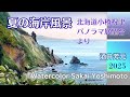 夏の海岸風景を描く 水彩画 酒井芳元