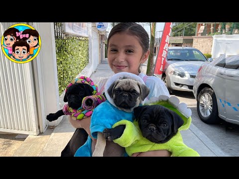 Video: 17 adorables perros papás que están locos de amor con sus cachorros