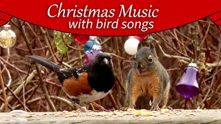 CAT TV: Christmas Music, Beautiful Birds and Squirrels.