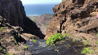 Alisitos, Baja California