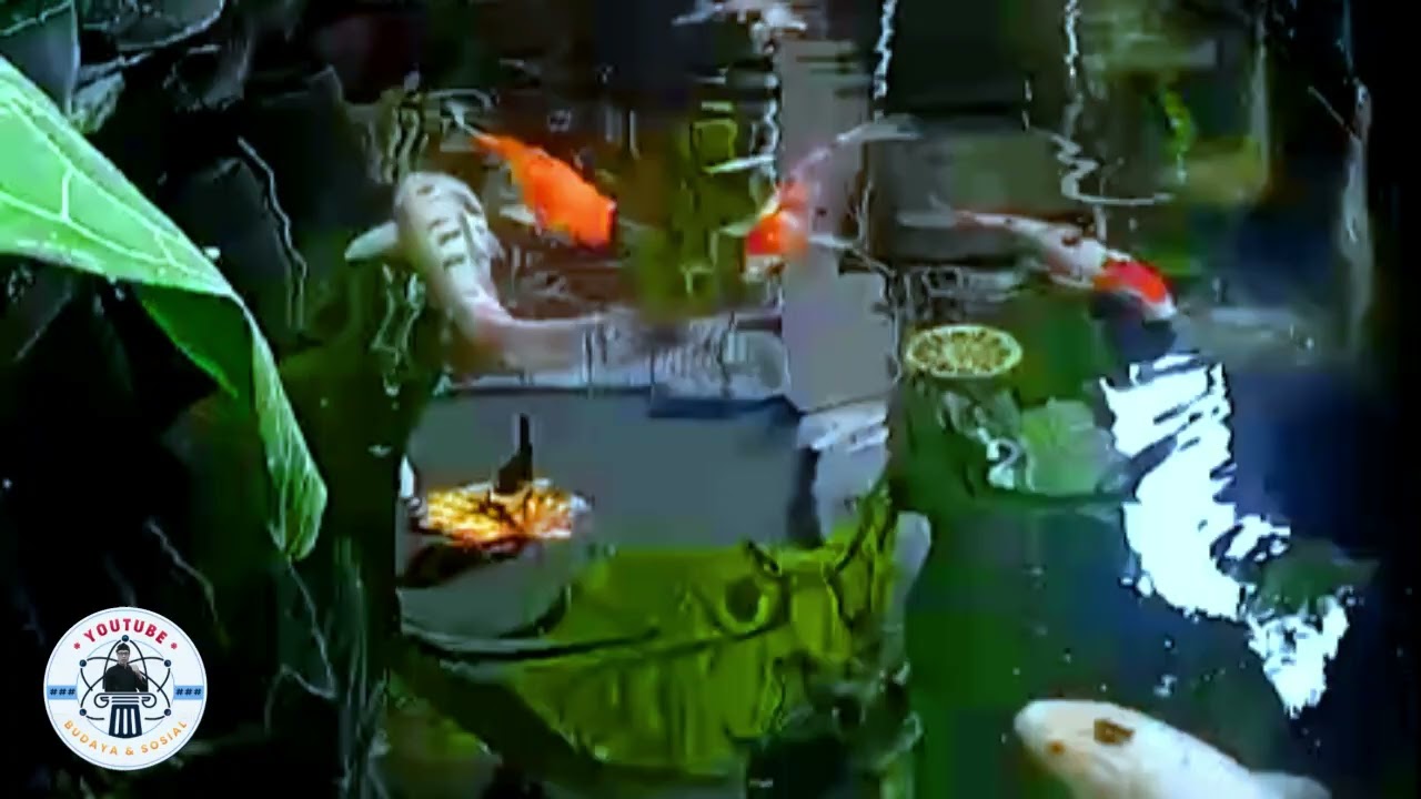 Manusa Kudu Boga Rasa Rumasa