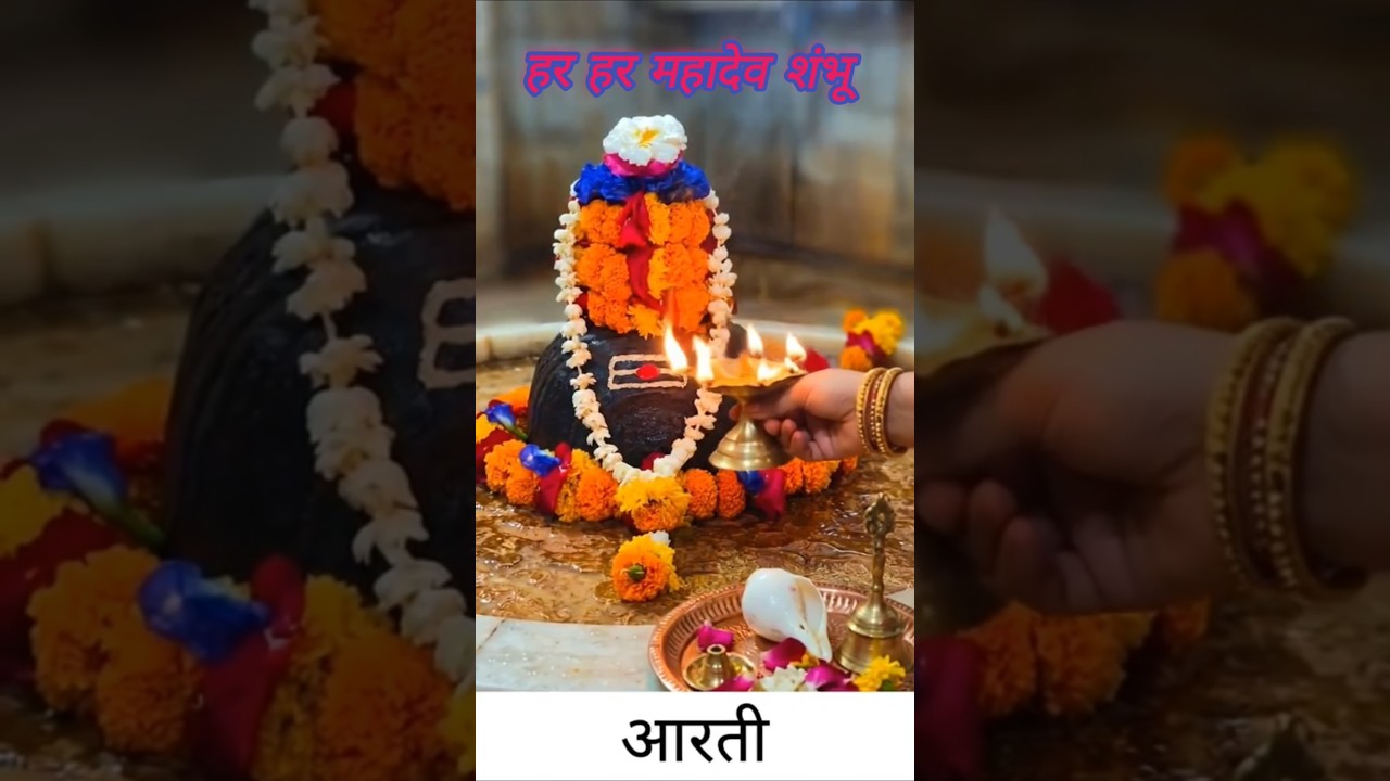 जय द्रोणेश्वर महादेव दर्शन #shortsvideo #videoviral #reels  #FunnyVideo  #comedy #trending#mahadev