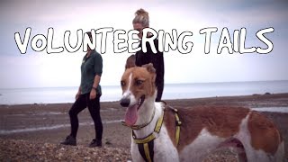 Volunteering Tails: What it's like to volunteer at Dogs Trust