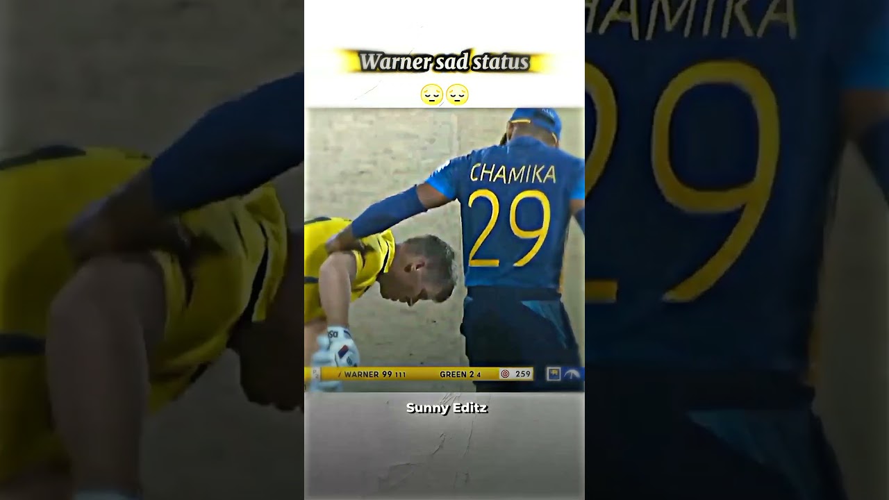 David Warner Sad status 😢😢 ll 