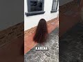 LITTLE CHILD WITH LONG HAIR⁉️#viralvideo #lol #funny