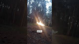 Dum Bum 50 F4 | 50g 2nd cam #polenboller #fireworks #polenböller #explosion #petardy #fajerwerki