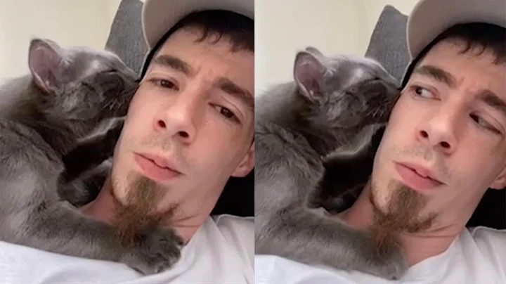 Adorable Cat Kneads Owner's Face