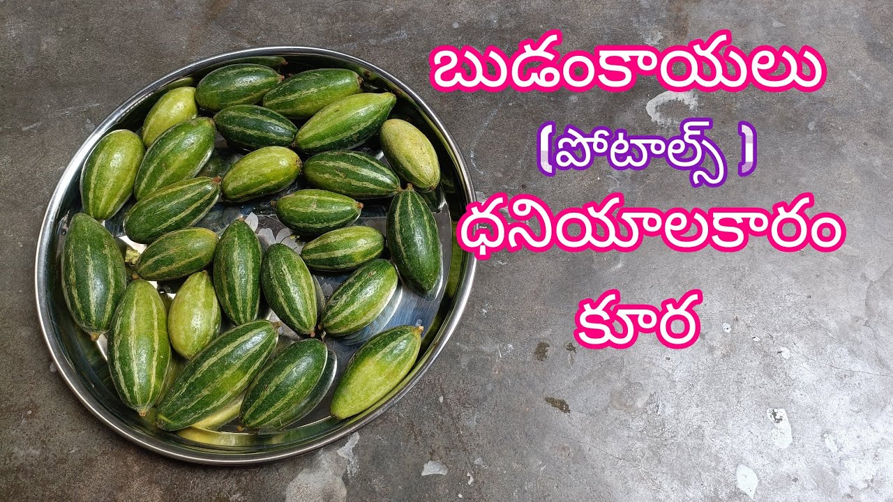 #బుడంకాయలు(పొటాల్స్)ధనియాలకారంపెట్టిన కూర#BudankaayaalaDhaniyaalaKaaramKoora#PotalsCurry.