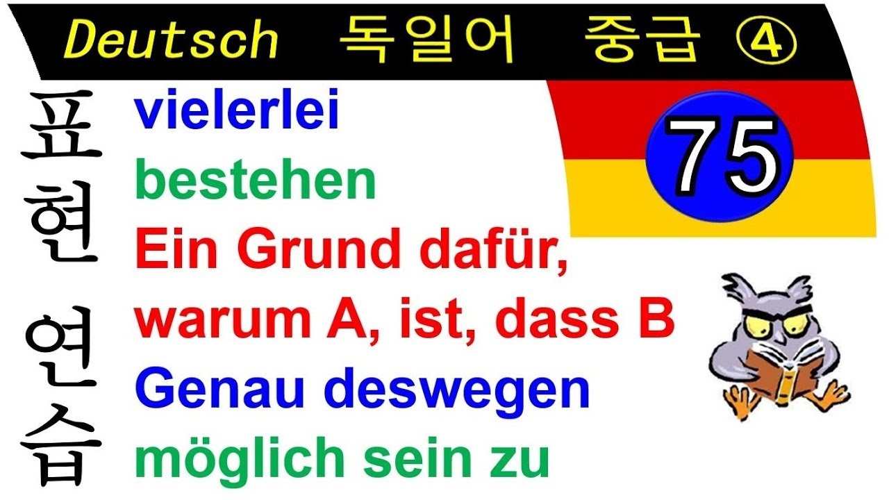L75 표현 연습: vielerlei / bestehen / Ein Grund dafür, warum... / genau ...