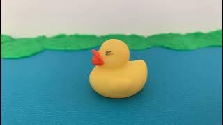 A Happy Duck (stop motion)