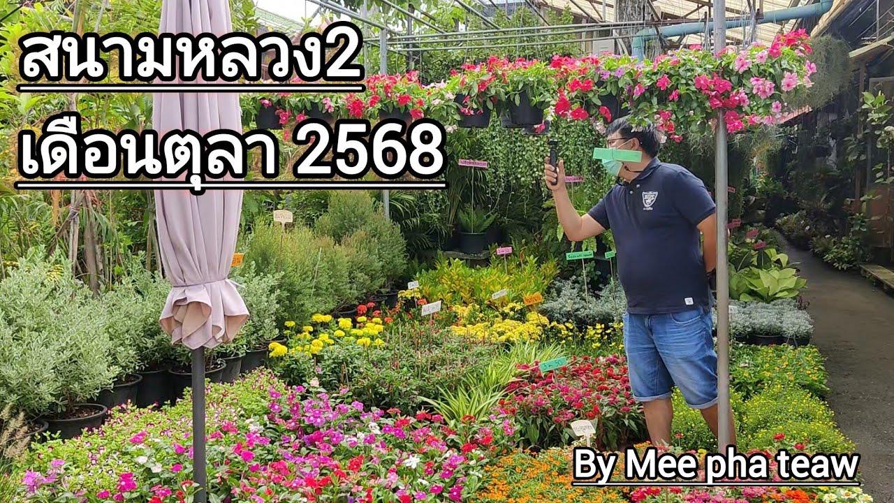 ตลาดต้นไม้สนามหลวง 2 เดือนตุลาคม 2568 ก่อนหมดฝน #meephateaw 